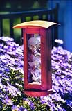 Schrodt Designs Model BFH Butterfly House