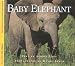 Baby Elephant (Nature Babies)