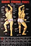 Poster KARATE Striking, Pressure Point Dim Mak Striking Points Poster. 19.5