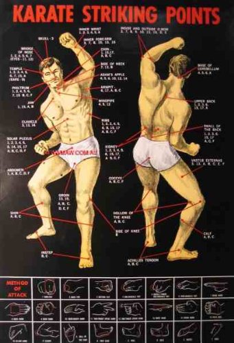Poster KARATE Striking, Pressure Point Dim Mak Striking Points Poster. 19.5