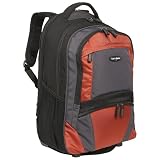 Samsonite® Medium Wheeled Backpack