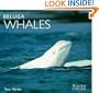 Beluga Whales (WorldLife Library Series)