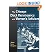 The Chicago Black Renaissance and Women's Activism