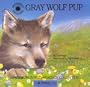 Gray Wolf Pup (Smithsonian Wild Heritage Collection)