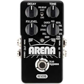 tc.electronic / Arena Reverb