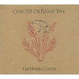 Crow Sit on Blood Tree
