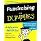 Fun with Fundraising
