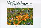 Search : Wildflowers Of California: Twenty Postcards