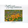 Wildflowers of California