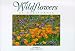 Wildflowers of California