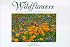 Wildflowers of California