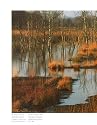 Worpswede und das Teufelsmoor