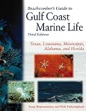 Beachcomber's Guide to Gulf Coast Marine Life: Texas, Lousiana, Mississippi, Alabama and Florida