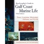 Beachcomber's Guide to Gulf Coast Marine Life: Texas, Lousiana, Mississippi, Alabama and... by  Nick Fotheringham and Susan B. Rothschild