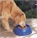 Kitchen & Housewares : Doskocil #23050 HW Cat Dish Assorted