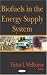 Biofuels in the Energy Supply System