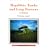 Megalithic Tombs and Long Barrows in Britain (Shire Archaeology)