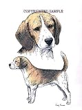 Beagle - Double Image by Cindy Farmer