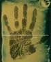 Photography's Antiquarian Avant-Garde: The New Wave in Old Processes