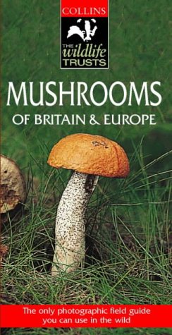 Mushroom