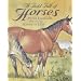 A Field Full of Horses (Read & Wonder)