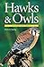 Hawks and Owls of Eastern North America