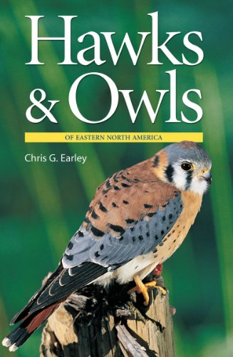 hawks and owls of eastern north america