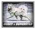 Mancave Alaskan Malamute Guard dog Sign / vintage plaque bathroom wall decor