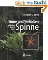 Sinne und Verhalten: aus dem Leben einer Spinne