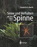 Sinne und Verhalten: aus dem Leben einer Spinne - Friedrich G. Barth