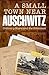 A Small Town Near Auschwitz: Ordinary Nazis and the Holocaust