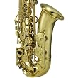 Cecilio Lacquer Alto Saxophone w/ Carrying Case and Accessories