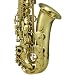 Cecilio Lacquer Alto Saxophone w/ Carrying Case and Accessories