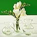 Two'S Company, Inc. - Hand Blown Glass Vases Set of 3