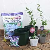 ブルーベリー栽培セット：あまつぶ星とおおつぶ星4～4.5号ポット[群馬県オリジナル品種]