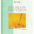 Eye, Brain, and Vision (Scientific American Library, No 22)