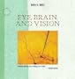 Eye, Brain, and Vision (Scientific American Library Series)