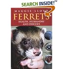 Ferrets: Health, Husbandry and Diseases by Maggie Lloyd