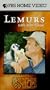 In The Wild - Lemurs with John Cleese [VHS]