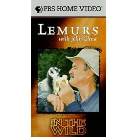 In The Wild - Lemurs with John Cleese [VHS]
