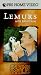 In The Wild - Lemurs with John Cleese