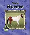 Pinto Horses (Animal Kingdom Set II)