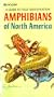 Amphibians of North America: A Guide to Field Identification