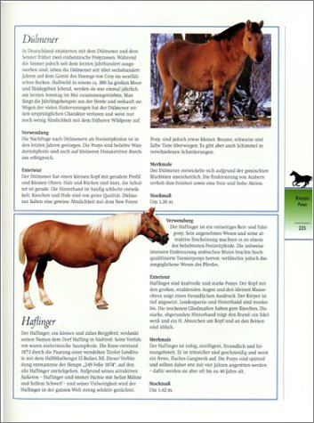 Cover image : Pferde. Reittechniken, Pflege und Haltung, Rassen