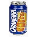 ORANGINA - Limonade und Orangensaft mit 2% Fruchtfleisch. 24 x 33 cl Dosen. BBQ