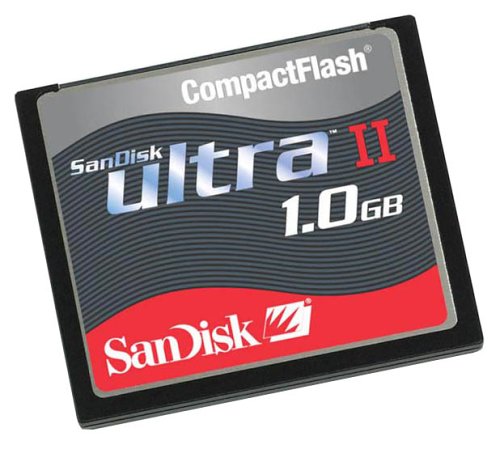 Childrens Toyshop  Electronics : SANDISK ULTRA ll CF 1GB CARD