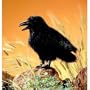 Folkmanis Raven Puppet