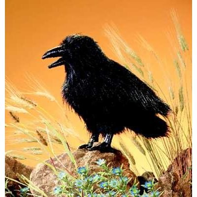 Plush Raven Puppet 16