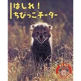 はしれ!ちびっこチーター (羽仁進の愛情いっぱい動物記)