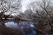 Isack Kousnsky-Central Park in Black and White with Blue Pond, Photography Poster Print, 24 by 36-Inch